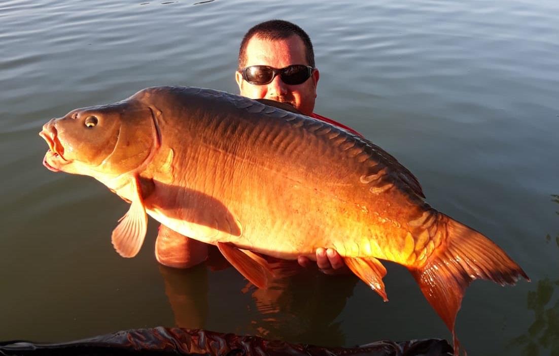 Recordul lacului Pleasa este un superb crap oglinda.